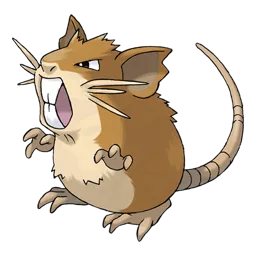 Raticate