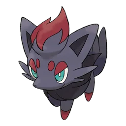 Zorua